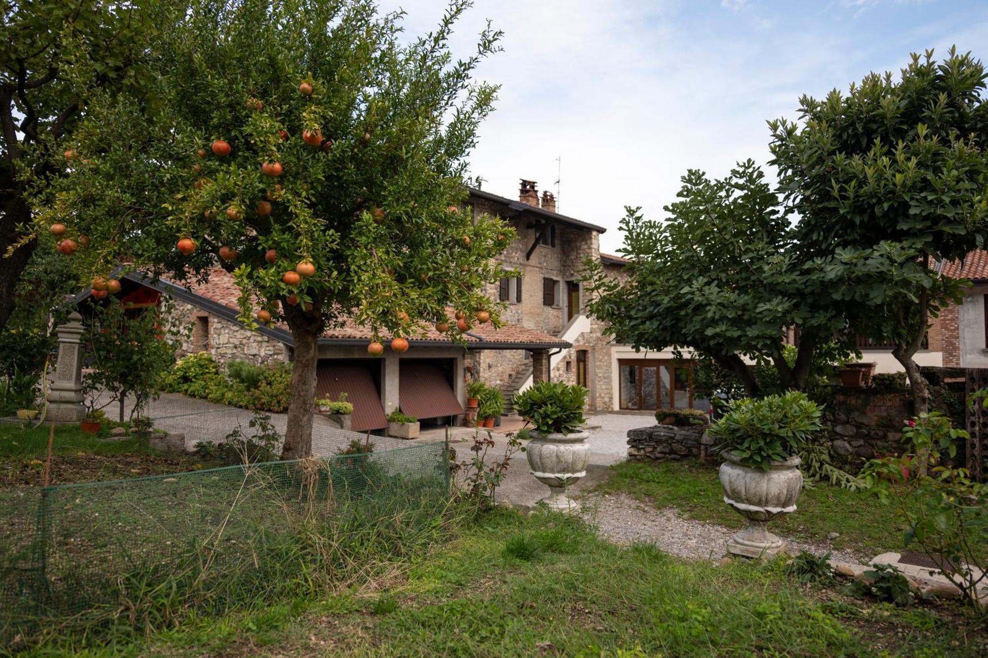 La Terrazza Sulle Vigne B&B Corte Franca Eksteriør bilde
